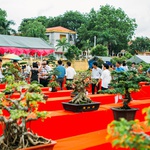 Hội chợ triển lãm sinh vật cảnh và làng nghề thành phố Chí Linh 2019