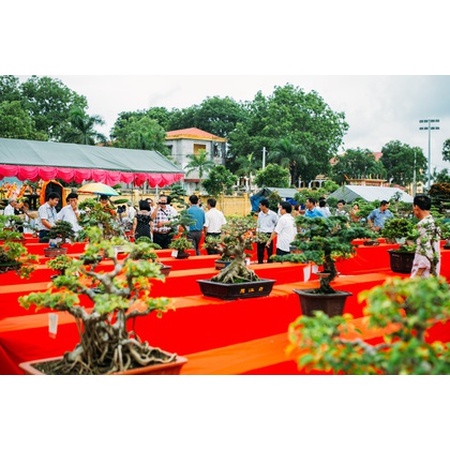 Hội chợ triển lãm sinh vật cảnh và làng nghề thành phố Chí Linh 2019